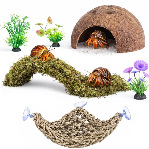 Hermit crab accessories 6pcs - hermit,