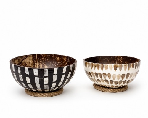 Coconut shell bowl - shell,