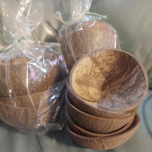 100 natural raw coconut shell - coconut,