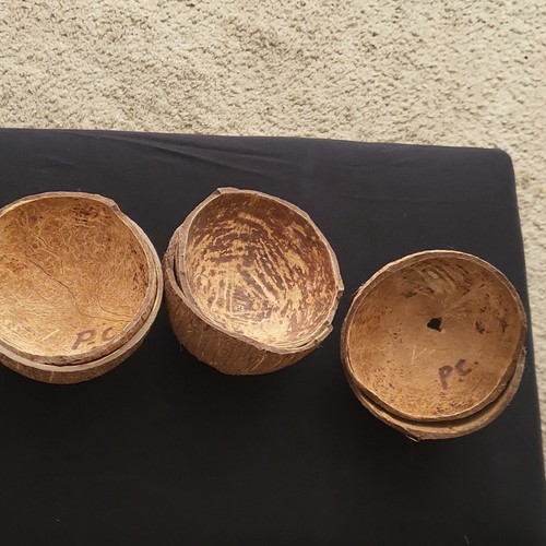 Coconut shells natural - 25,