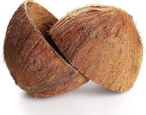 Coconut shell halves ceylon - coconut,