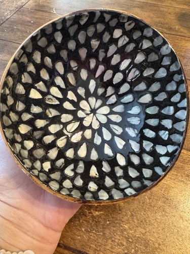 Coconut shell bowl - shell,