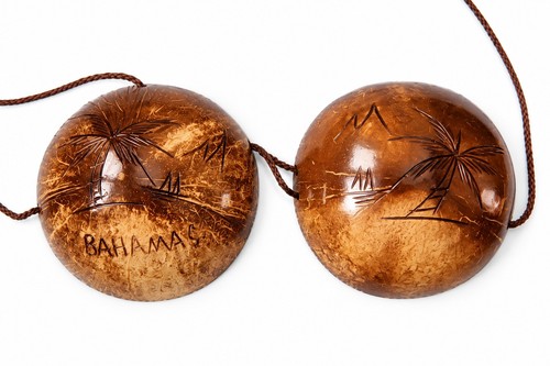 Vintage bahamas coconut shell - vintage,