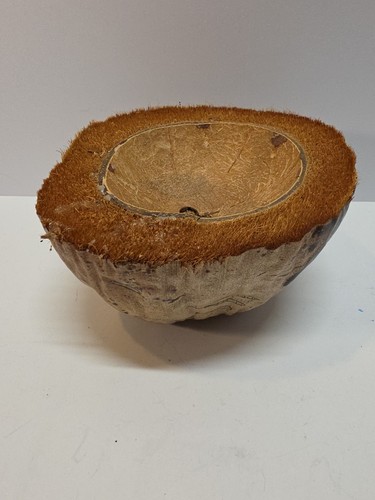 Coconut shell half - coconut,