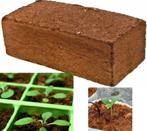 Organic coco coir - coco, lot