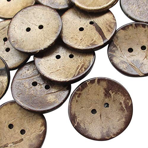 Natural brown coconut shell - coconut,