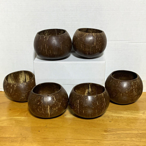 Coconut shell bowl set - coconut,