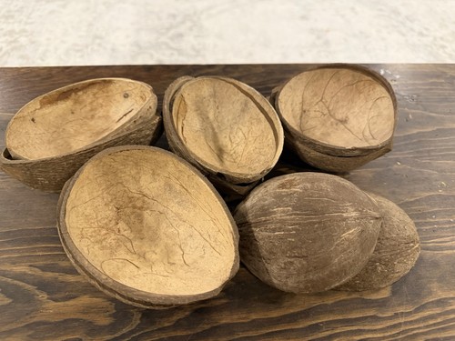 Natural coconut shell halves - natural,