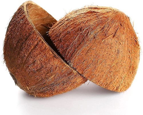 Coconut shell halves natural - coconut,